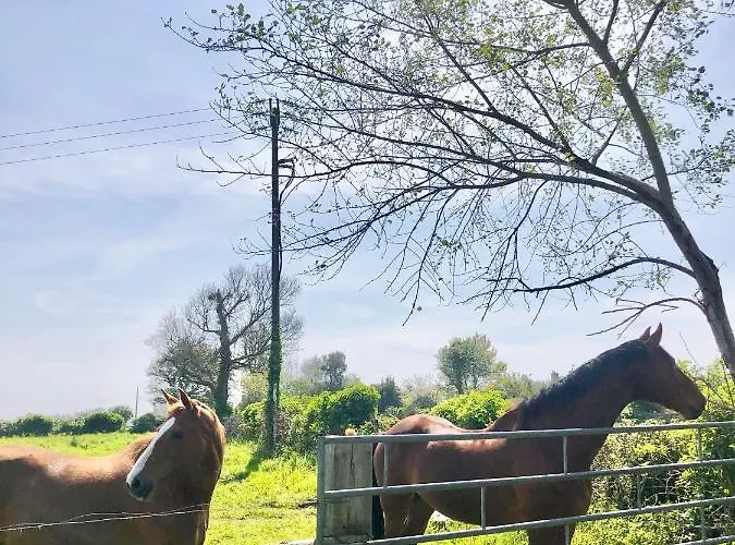 La Gervaiserie - 300m De La